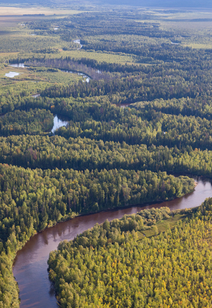Forest and plain river top viewの写真素材