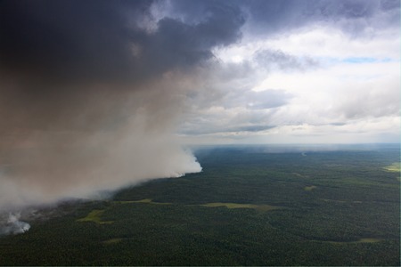 Wildfire in forest, aerial viewの写真素材
