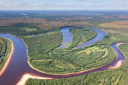 Forest river, top viewの写真素材