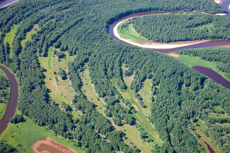 Forest river, top viewの写真素材