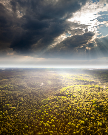 Aerial view of the forest under clouds during the autumn evening. The crone of trees were lit by evening sun.の写真素材
