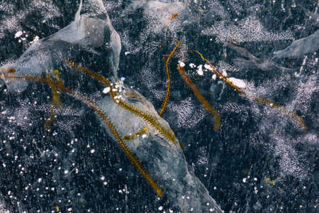 Blue ice surface with scratches on Baikal lakeの写真素材