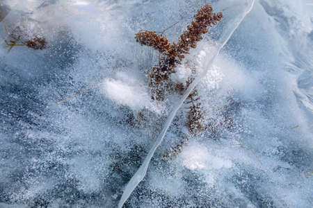 Close up shot of frozen waters with included of cracks, bubbles and herbs of baikal lake iceの写真素材