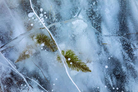 Close up shot of frozen waters with included of cracks, bubbles and herbs of baikal lake iceの写真素材