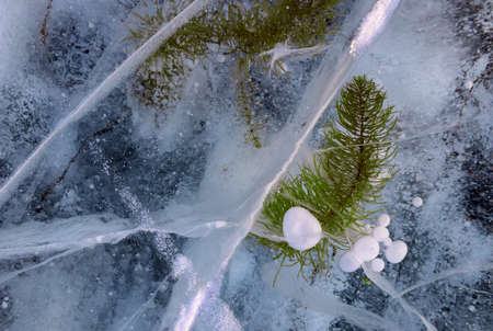 Close up shot of frozen waters with included of cracks, bubbles and herbs of baikal lake iceの写真素材