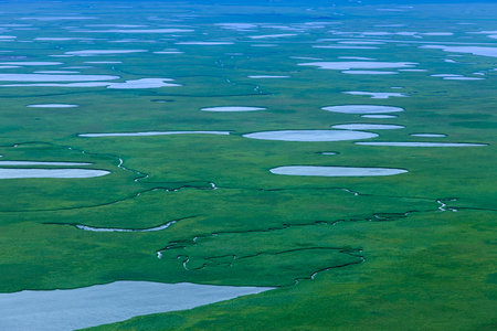 Aerial view of creek in flooded meadow in autumnの写真素材