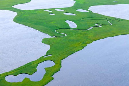 Lakes in summer lowland, top viewの写真素材