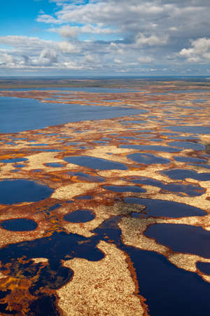 tundra in autumn, top viewの写真素材