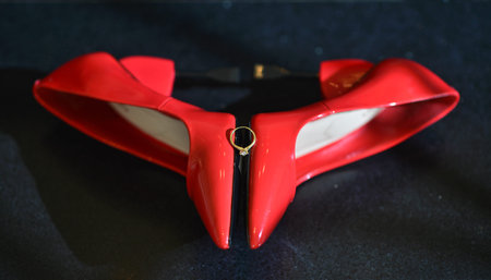 Beautiful, elegant, stylish, red shoes. Stylish red wedding shoes with a wedding ring.