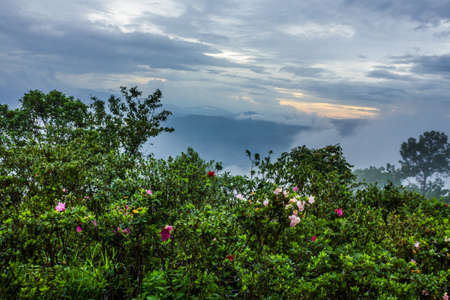 Blue Ridge Parkway Mountains Sunset over Spring の写真素材