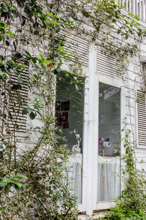 English gardenの写真素材