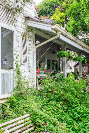 English gardenの写真素材