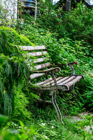 English gardenの写真素材