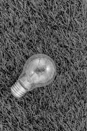 Light Bulbの写真素材