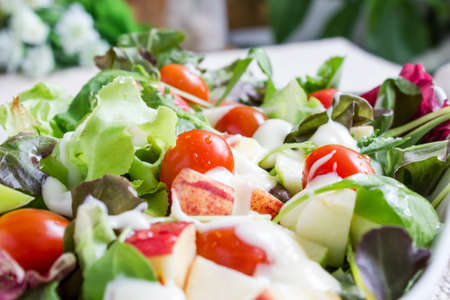 Saladの写真素材