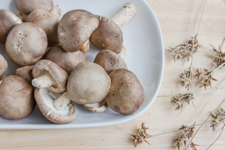 Mushroom