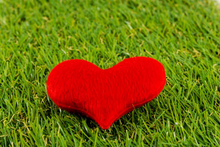 Heart of grass  background texture の写真素材