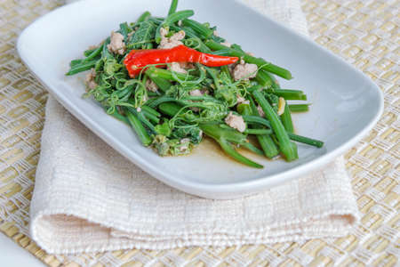 Stir-fried Chayote in dishの写真素材