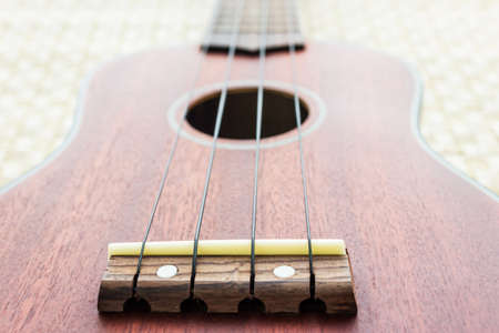 The picture of hawaiian guitar ukulele isolatedの写真素材