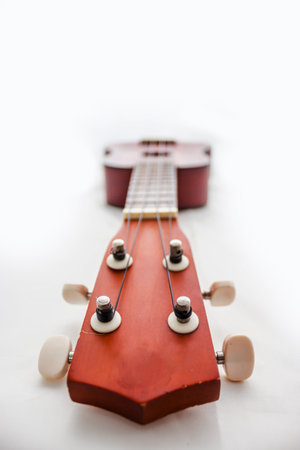 The picture of hawaiian guitar ukulele isolated