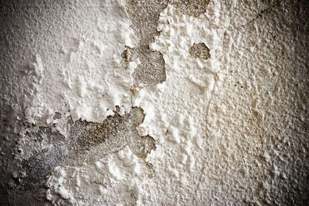 The Background from high detailed fragment stone white wallの写真素材