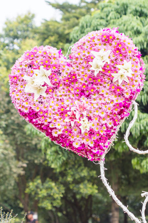 Flowers Heart in garden  Valentine  Love