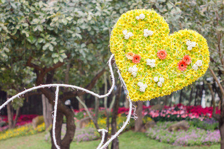 Flowers Heart in garden  Valentine  Love