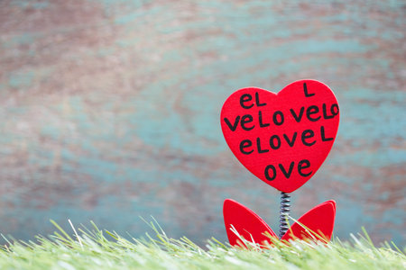 Valentines Day background with flower red hearts の写真素材