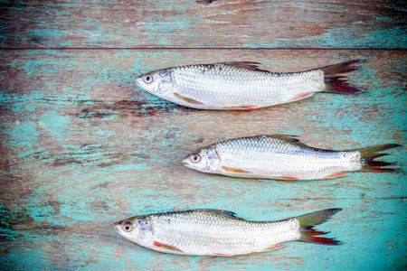 fish on wooden background, fish over natural wood background