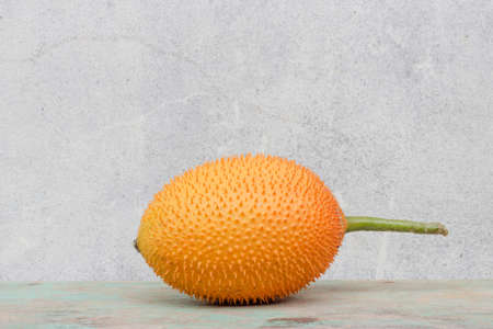 Spring Bitter Cucumber   Momordica cochinchinensis Spreng  の写真素材