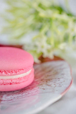 French macaron in plate on tableの写真素材