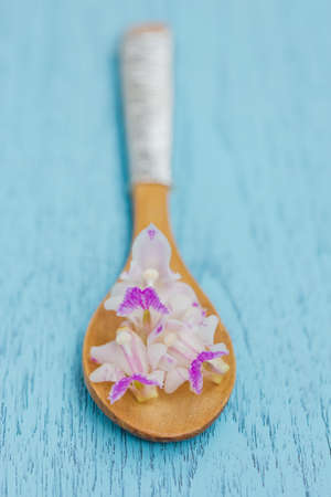 Orchids flower on a wooden spoonの写真素材
