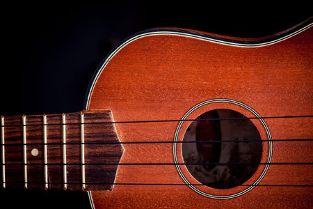 Ukulele hawaiian guitar over dark background 