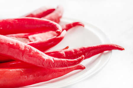 chili pepper isolated on a white backgroundの写真素材