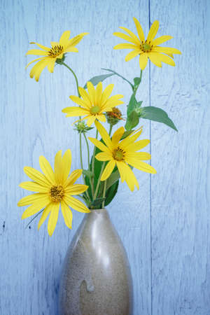 Jerusalem artichokes flowers in ceramic vase on a wooden tableの写真素材