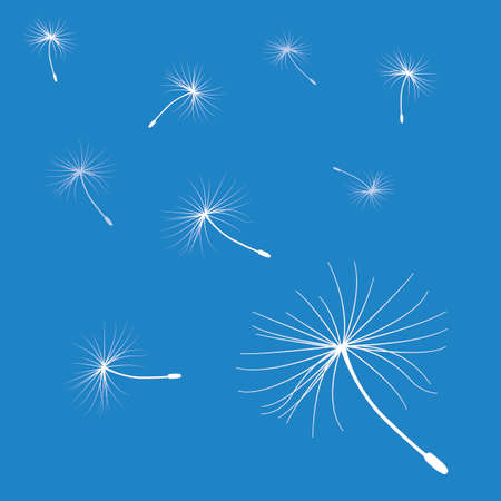 flying dandelion seeds in blue backgroundのイラスト素材