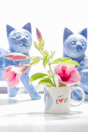 pink flower in love cup on tableの写真素材