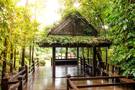 pavilion in forest plantations with sunset in the backgroundのeditorial素材