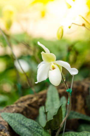 Close up of ladyの写真素材