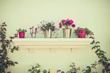 Buckets of flowers and Flower Pots in the gardenの写真素材