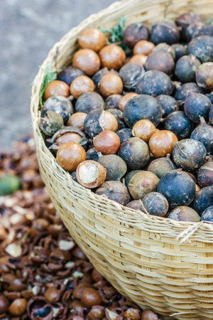macadamia nuts in Bamboo basketworkの写真素材