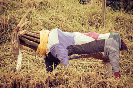 Colou handmade wooden mountain goat in grasslandの写真素材