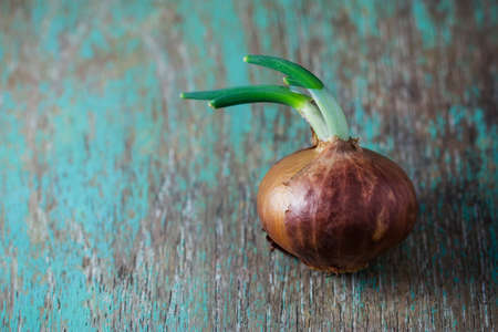 Onions on wood backgroundの写真素材