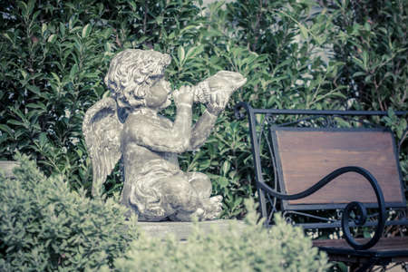 little cupid angel with spreaded wings in an irish gardenの写真素材