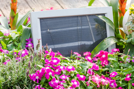 old computer in garden