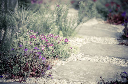 English gardenの写真素材