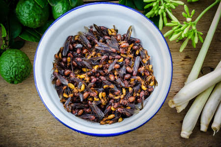 subterranean ants in iron bowl, Thai food.の写真素材
