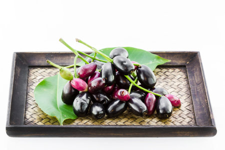 Jambolan plum, Java plum (Syzygium cumini) on white background.