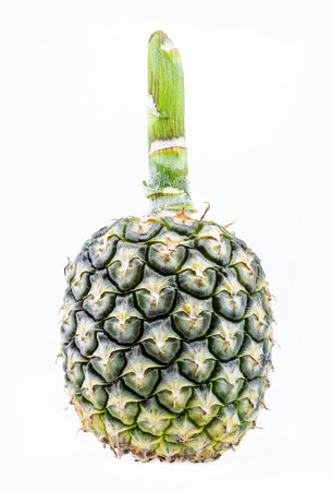 fresh pineapple isolated on white backgroundの写真素材