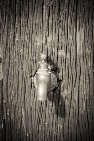 faucet on stone wall in gardenの写真素材